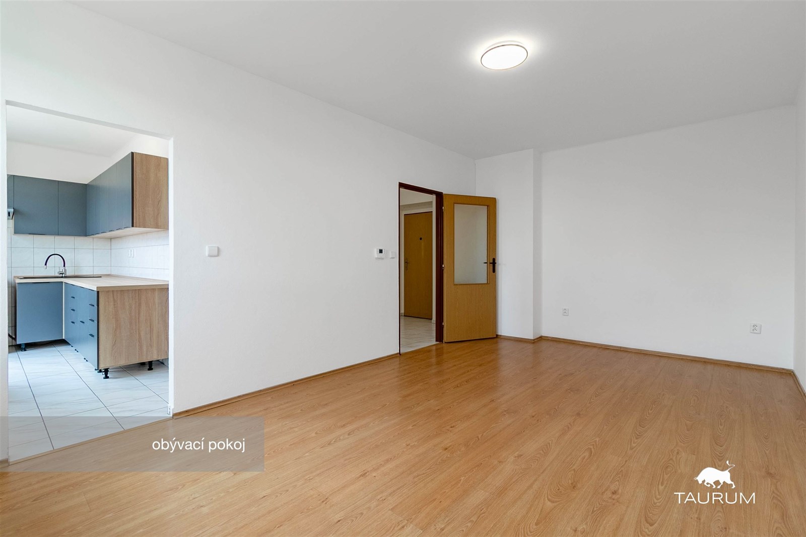 Světlý obývací pokoj s parketovou podlahou, přecho