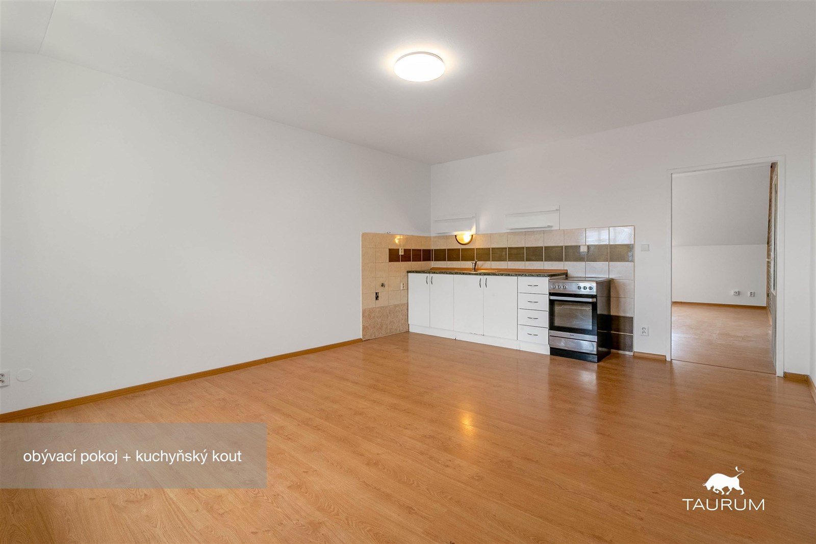 Světlý obývací pokoj s kuchyňským koutem, lamináto