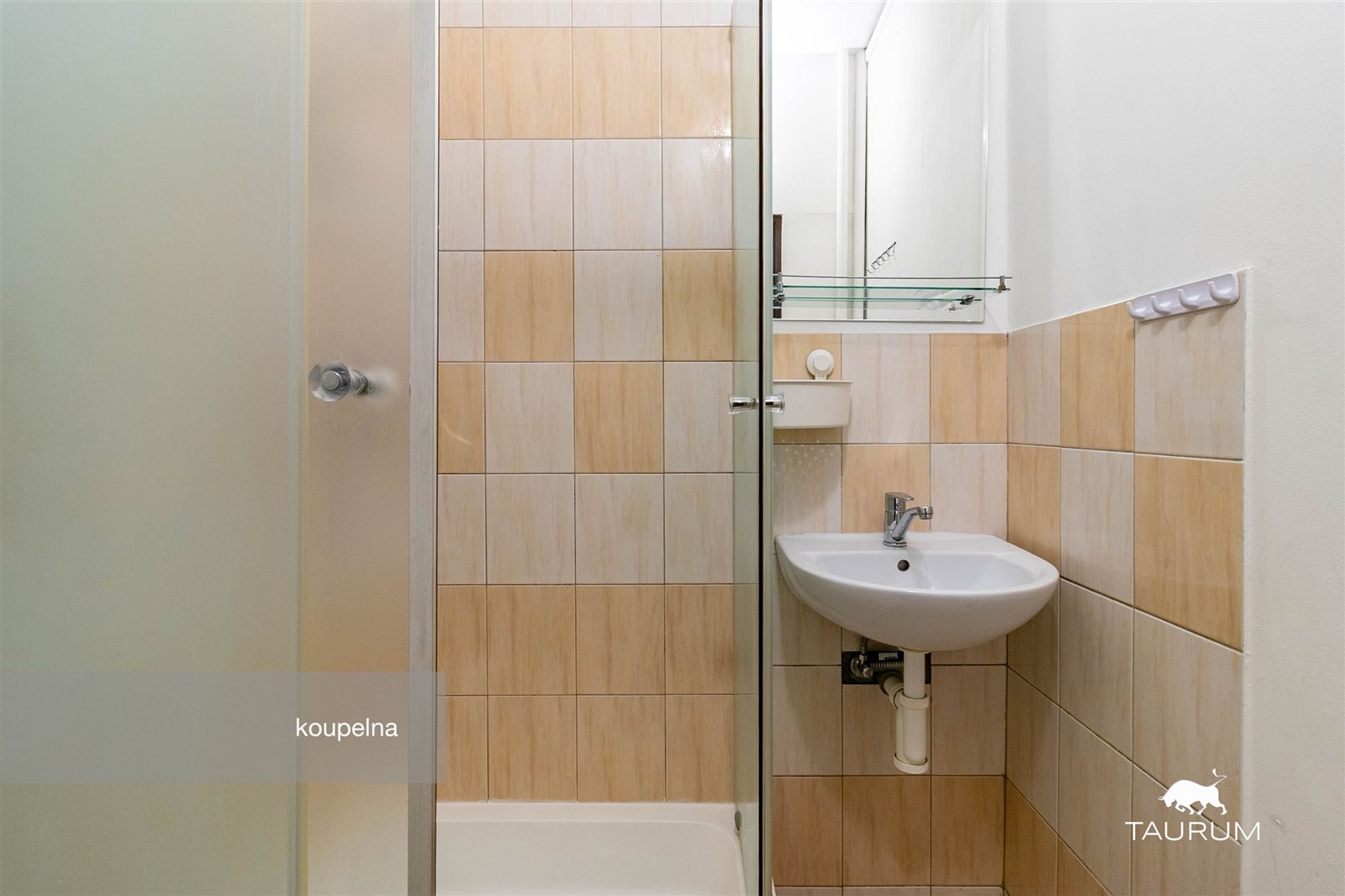 Malá koupelna s moderními dlaždicemi, sprchovým ko