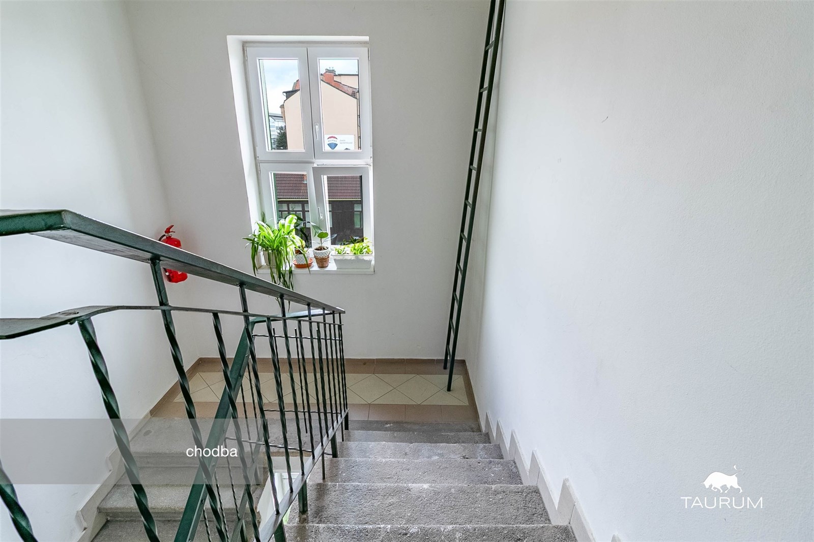 Schodiště s keramickou dlažbou a velkým oknem, kte