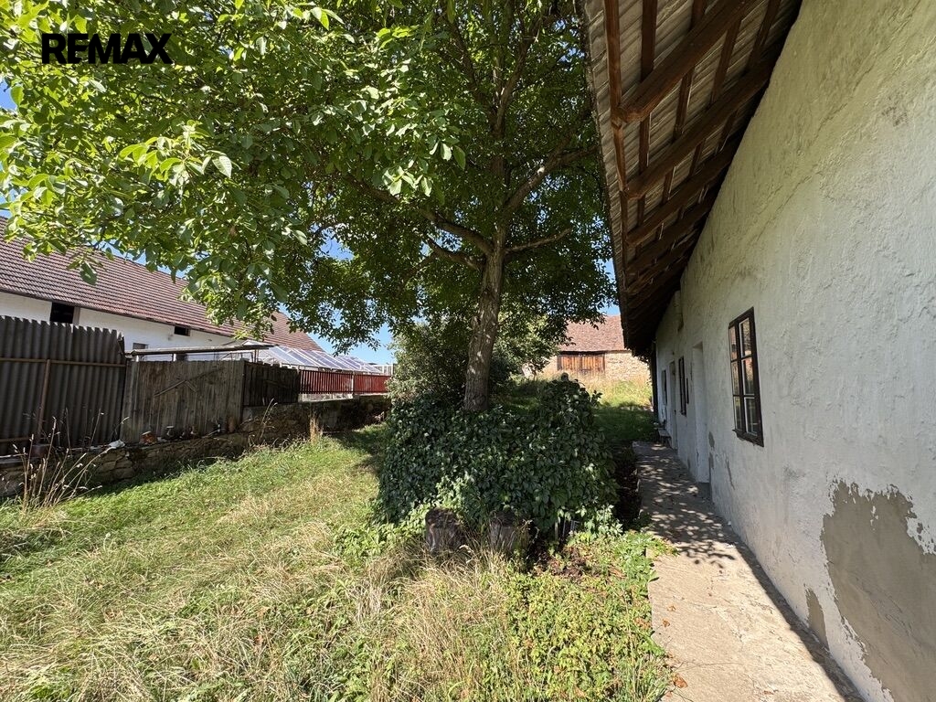 zahrada před domem