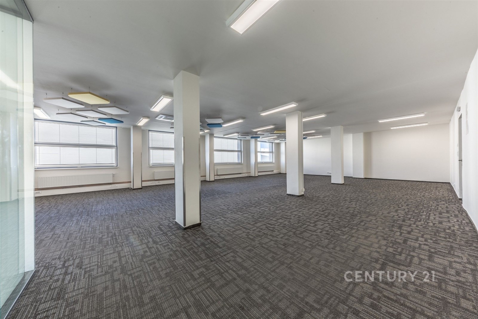 Prostorná komerční kancelář s moderním kobercem, v
