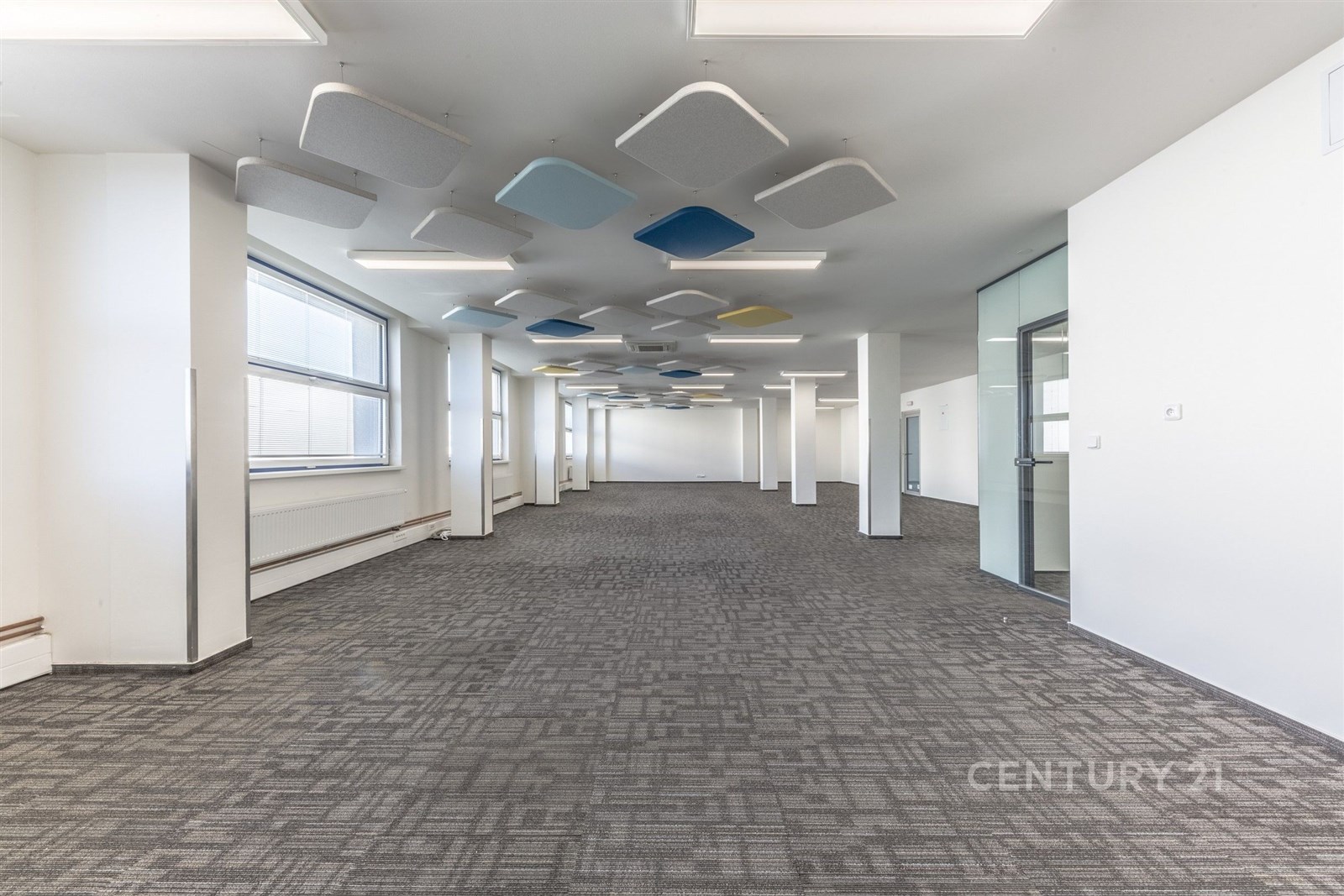 Prostorná kancelář s moderním kobercem, velkými ok