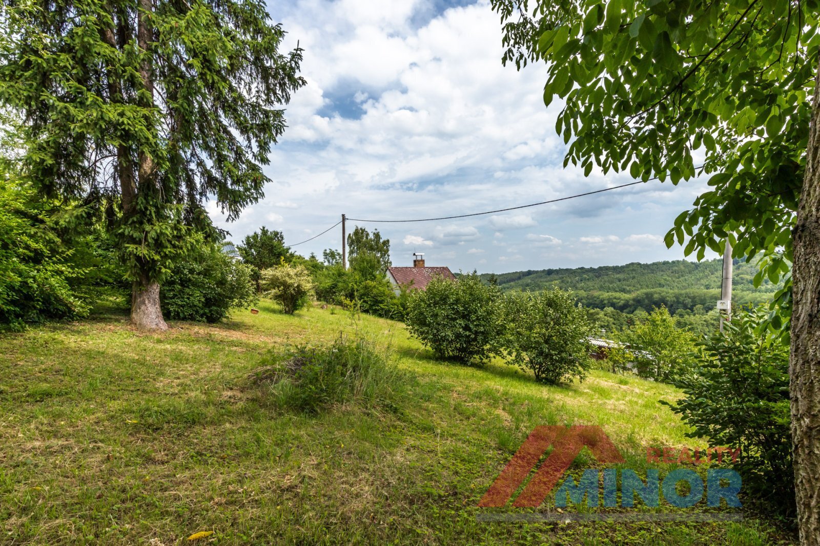 bilichov-47.jpg