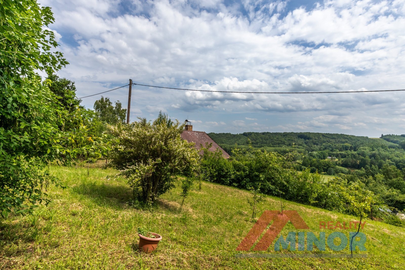 bilichov-51.jpg