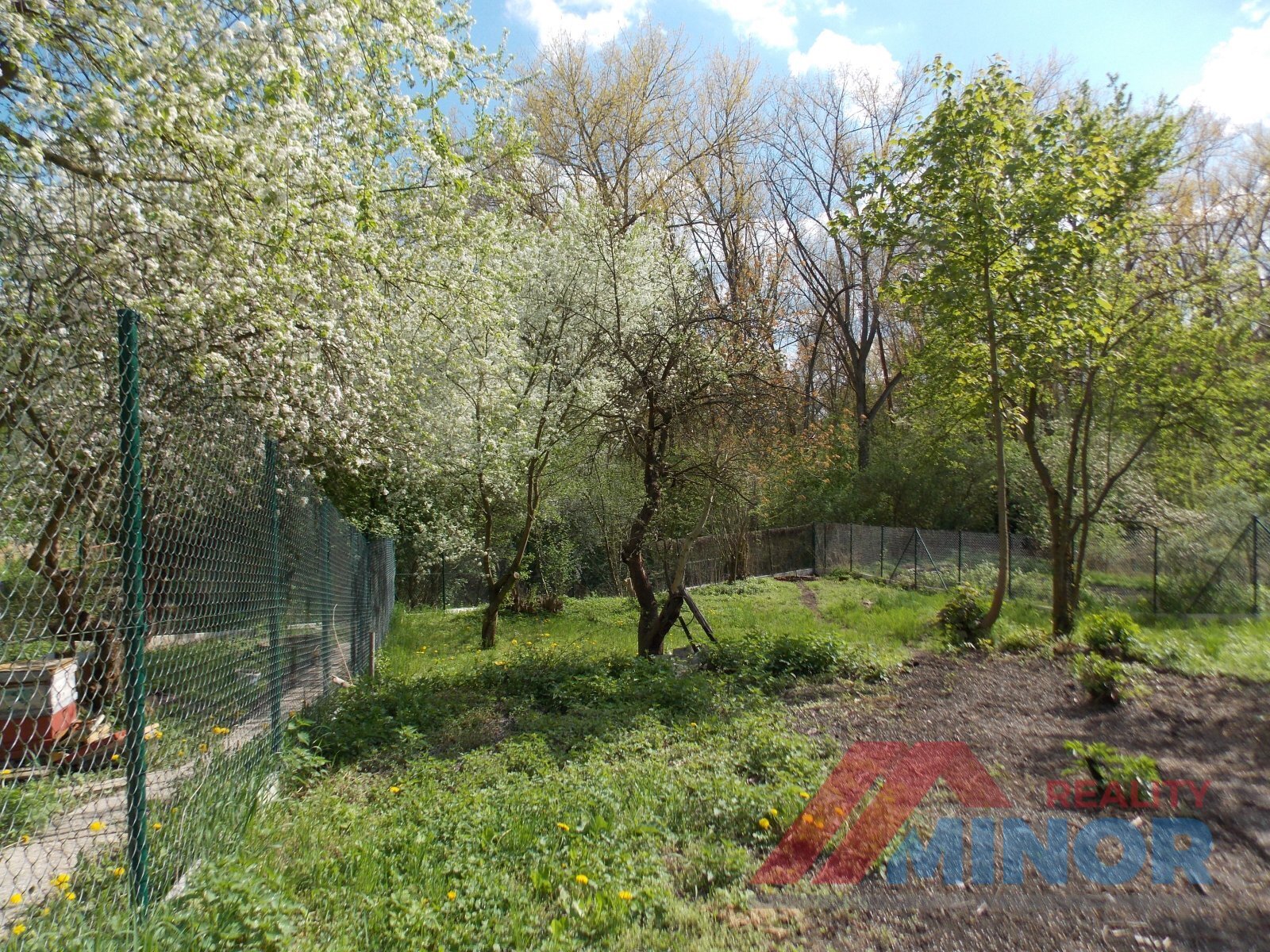 DSCN2462.JPG
