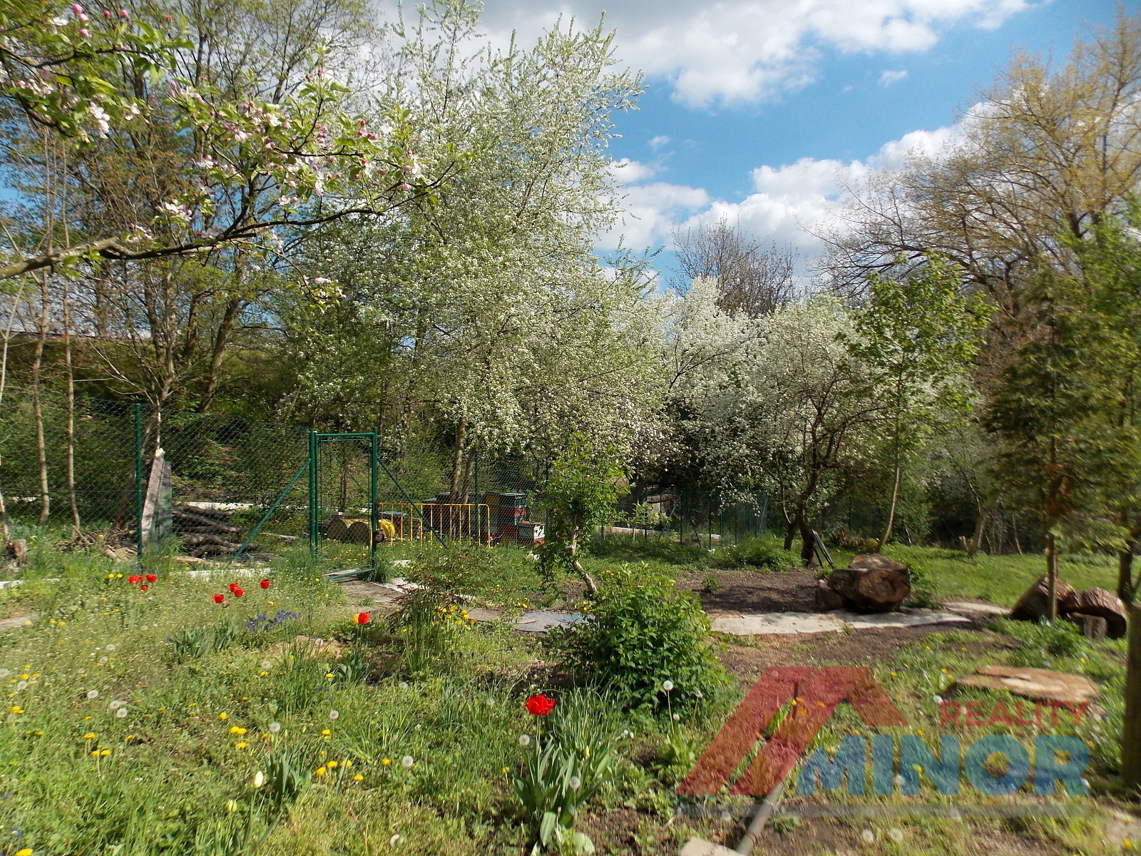 DSCN2468.JPG