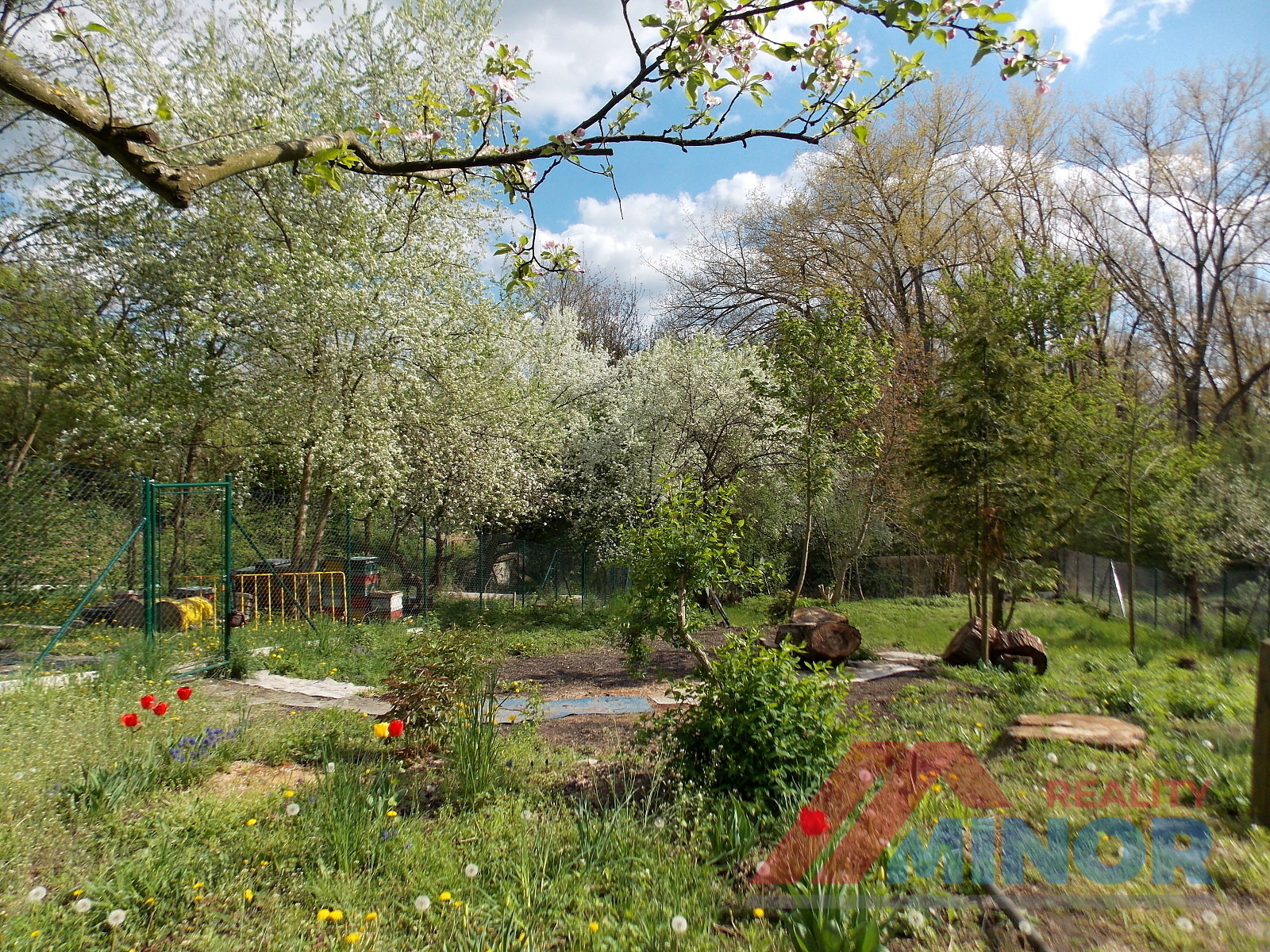 DSCN2470.JPG