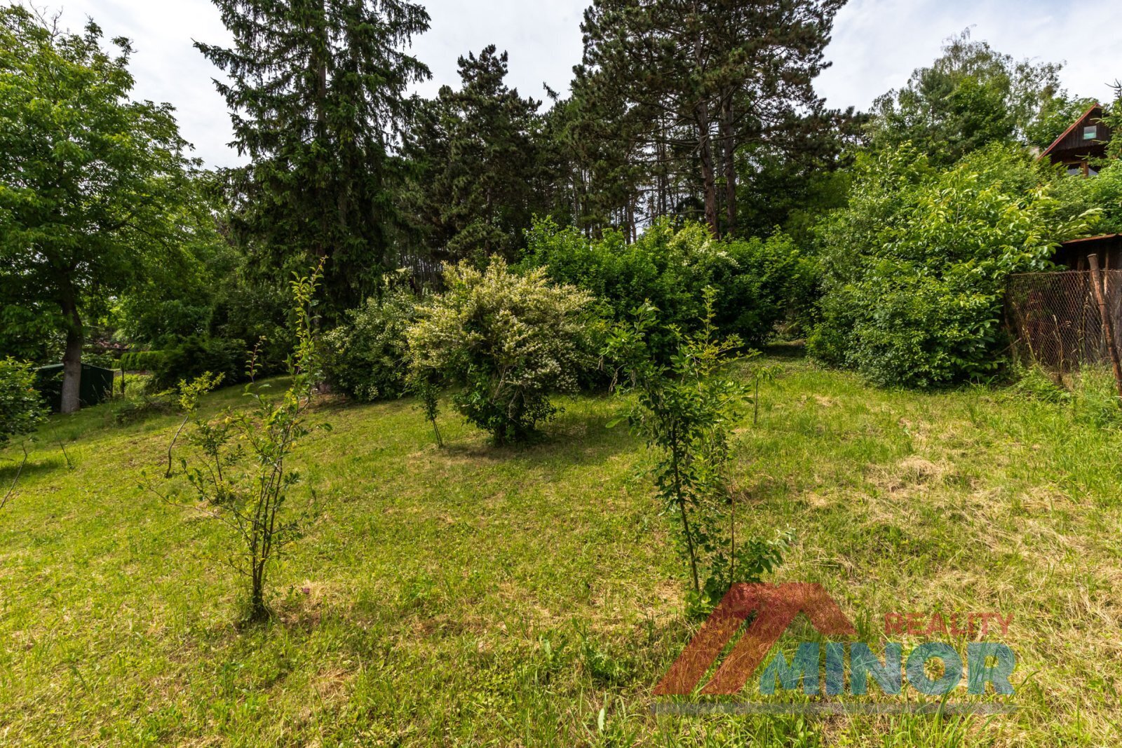 bilichov-55.jpg