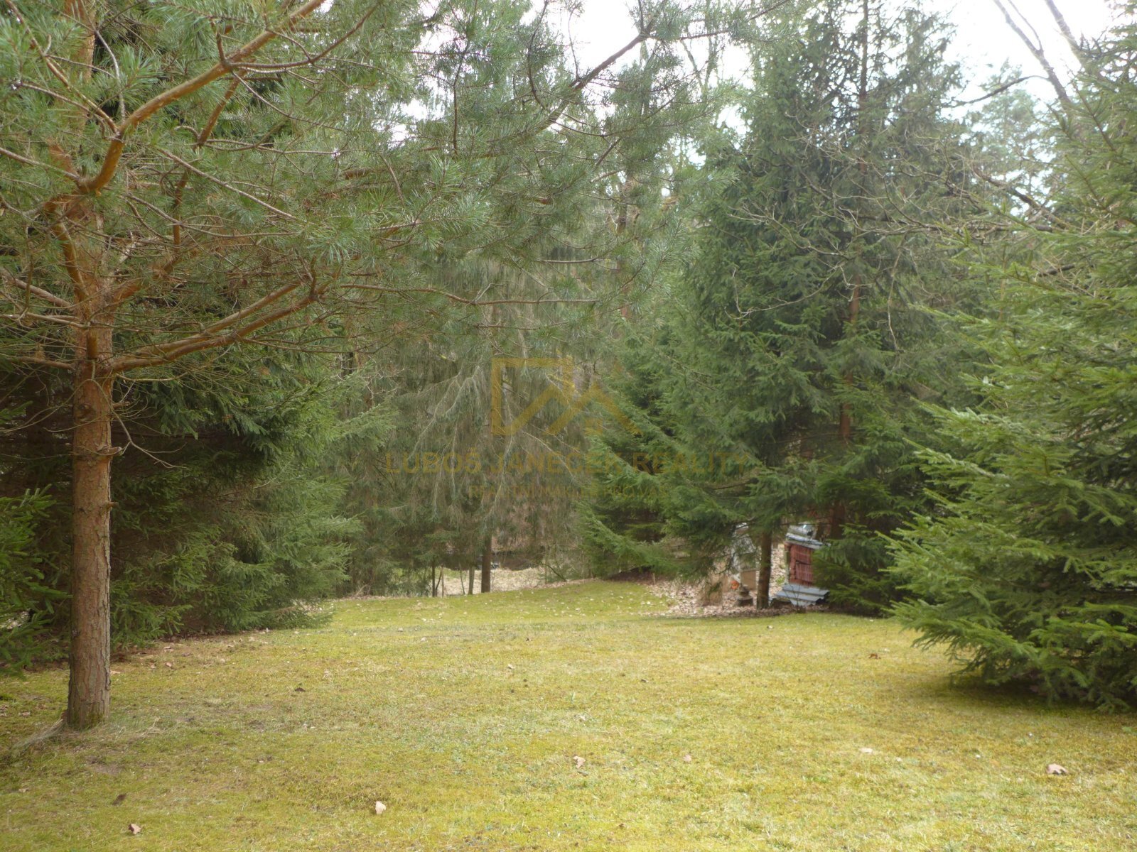 Pohled od chaty na pozemek a potok