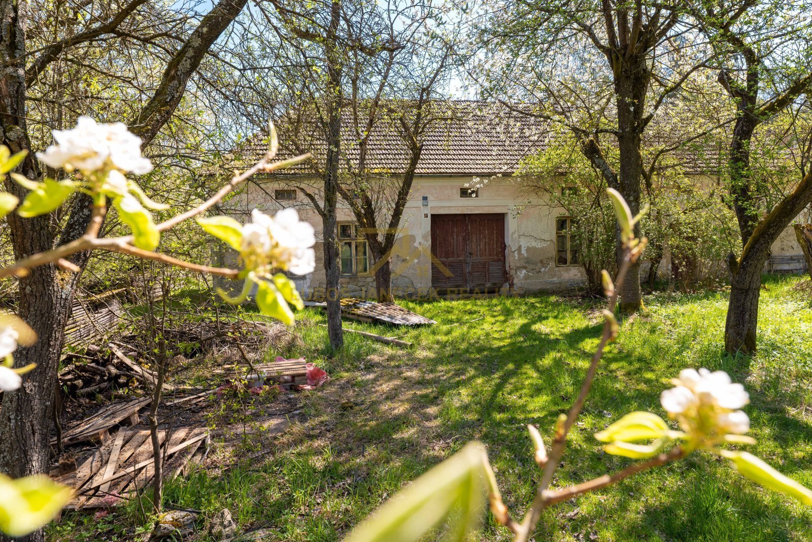 26-04-27 Rejta čelní strana usedlosti_32.jpg