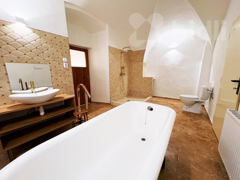 Pronájem bytu 3+kk, Žalany