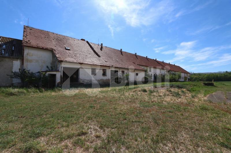 Prodej zemědělské usedlosti, 3 793 m² Oleksovice (okres Znojmo), obrázek 12