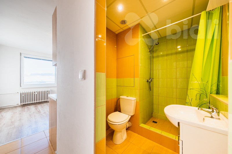 Pronájem bytu 1+1, 33 m2, Chomutov, ul. Stavbařská