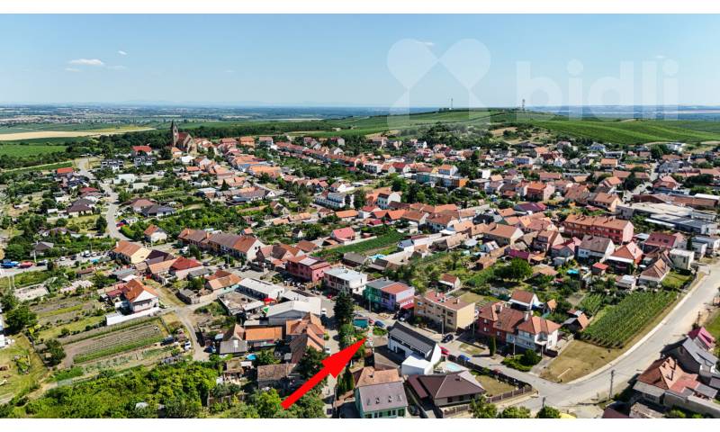 foto zaj poz