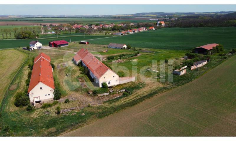 Prodej zemědělské usedlosti, 3 793 m² Oleksovice (okres Znojmo), obrázek 4