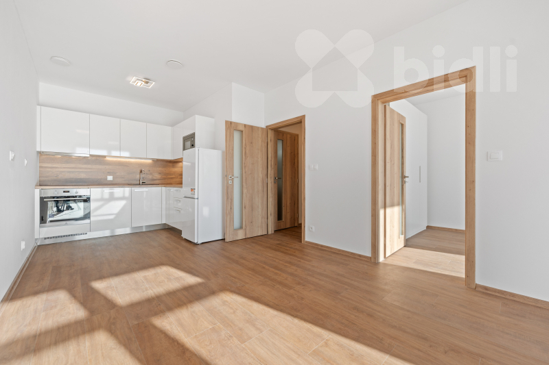 obývací pokoj s kuchyní