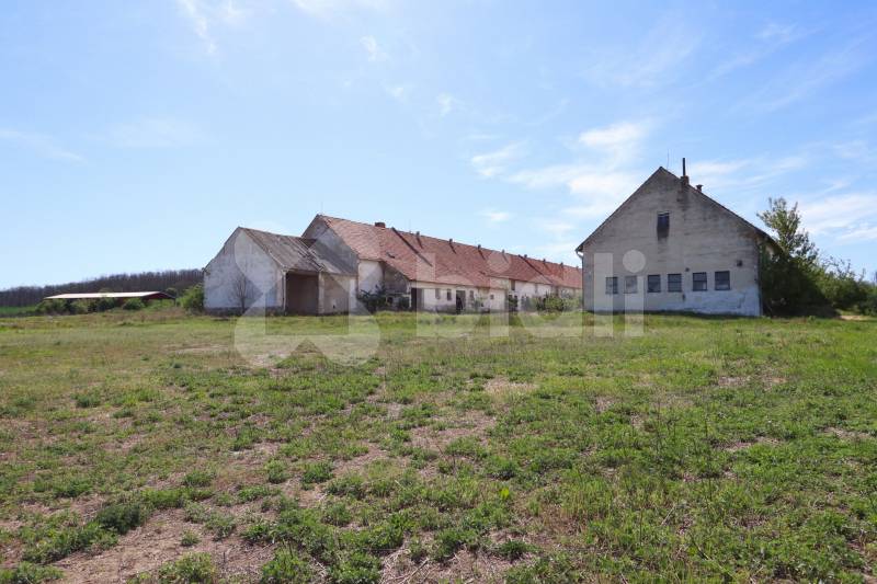 Prodej zemědělské usedlosti, 3 793 m² Oleksovice (okres Znojmo), obrázek 13
