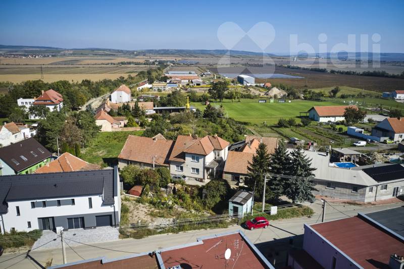 foto zaj poz