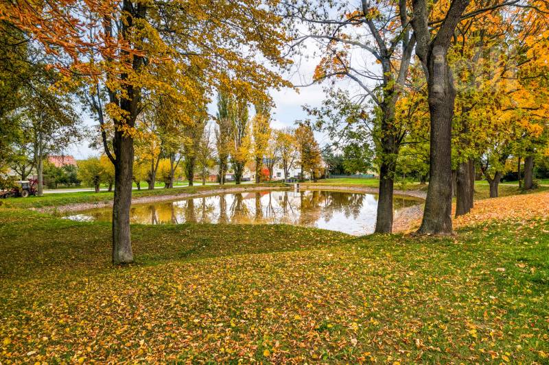 Prodej rodinného domu Pšov 3 900 000 Kč, foto 21