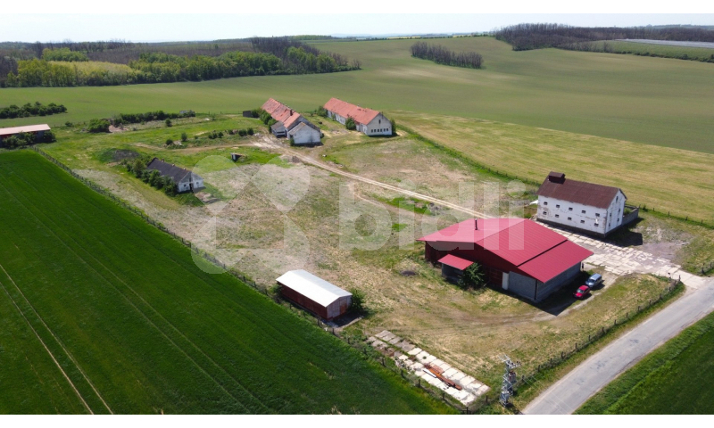 Prodej zemědělské usedlosti, 3 793 m² Oleksovice (okres Znojmo), obrázek 6