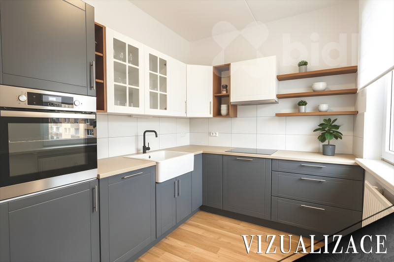 Kuchyně- vizualizace