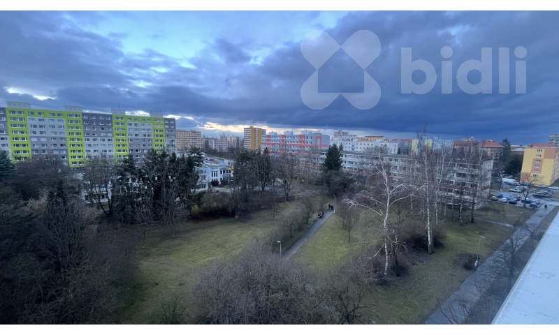 pronájem 1+1 Kladno