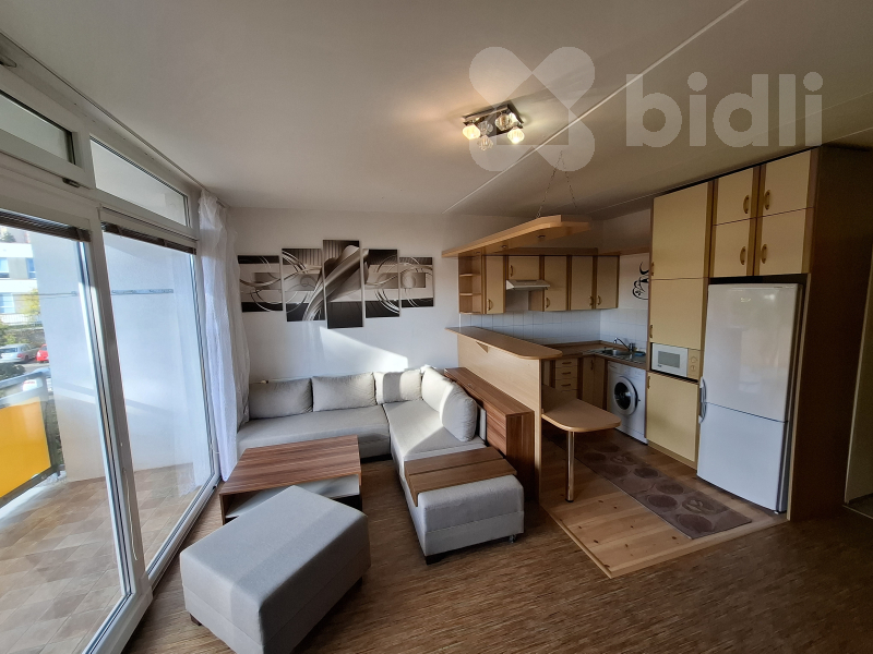 Pronájem bytu 1+kk a garsoniéry Plzeň 12 000 Kč za měsíc, foto 9