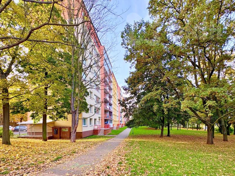 Pronájem bytu 3+1 Most 13 400 Kč za měsíc, foto 7