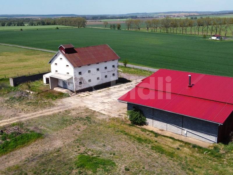 Prodej zemědělské usedlosti, 3 793 m² Oleksovice (okres Znojmo), obrázek 1