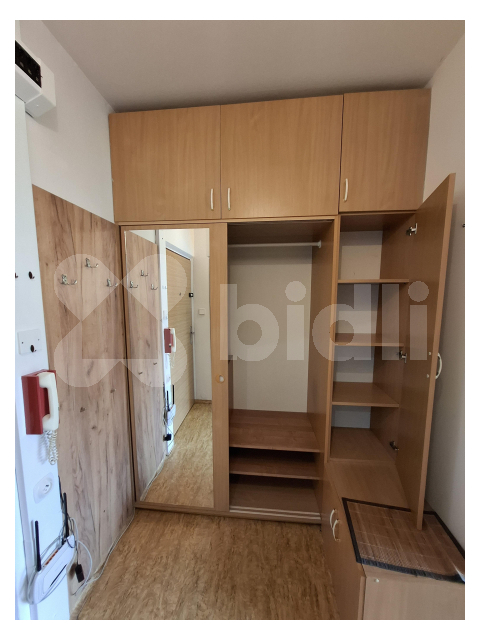 Pronájem bytu 1+kk a garsoniéry Plzeň 12 000 Kč za měsíc, foto 7