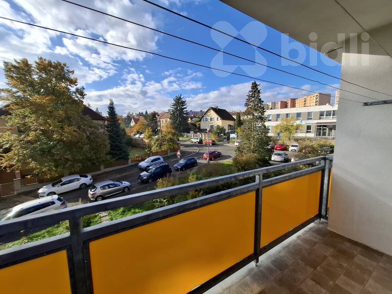 Pronájem bytu 1+kk a garsoniéry Plzeň 12 000 Kč za měsíc, foto 14