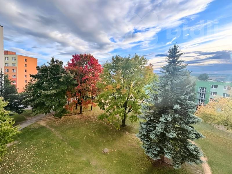 Výhled z obývací místnosti