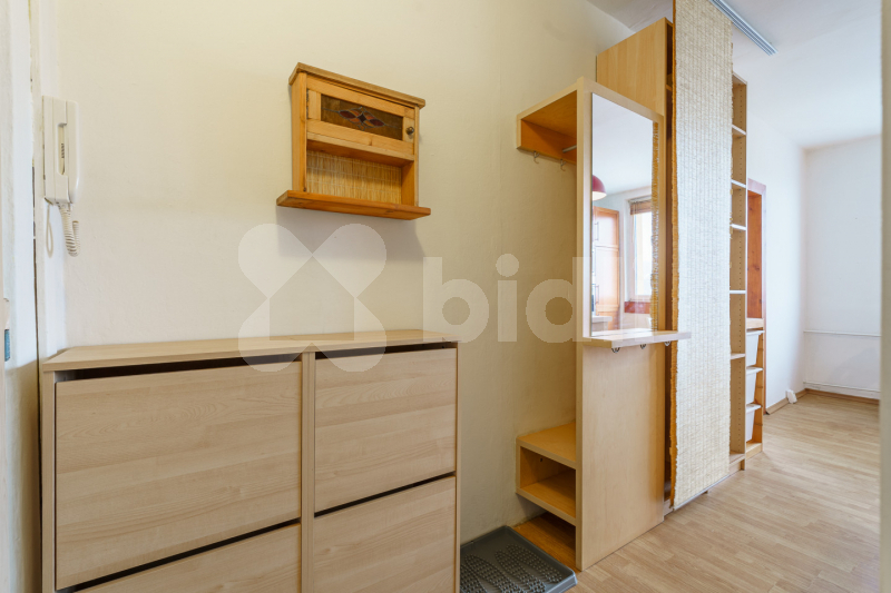 Pronájem bytu 1+1, 36 m2, Bílina, ul. Sídliště U Nového nádraží