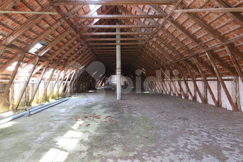 Prodej zemědělské usedlosti, 3 793 m² Oleksovice (okres Znojmo), obrázek 17