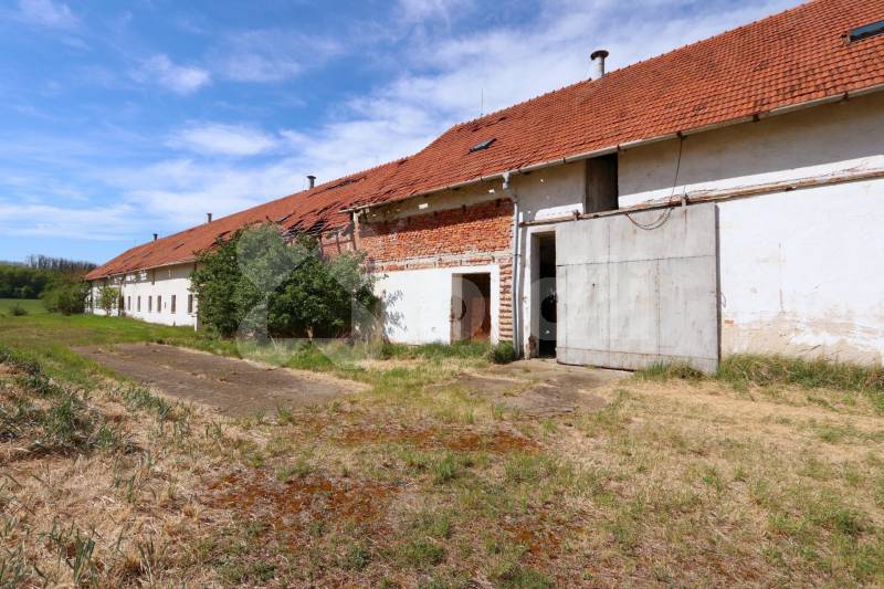 Prodej zemědělské usedlosti, 3 793 m² Oleksovice (okres Znojmo), obrázek 11