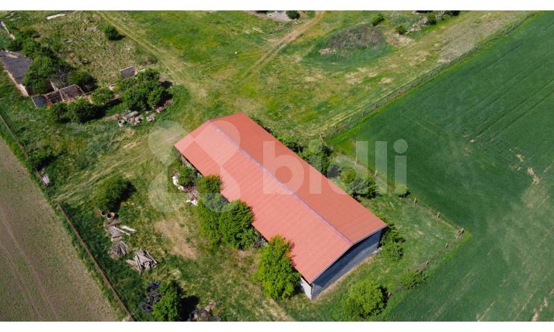 Prodej zemědělské usedlosti, 3 793 m² Oleksovice (okres Znojmo), obrázek 5