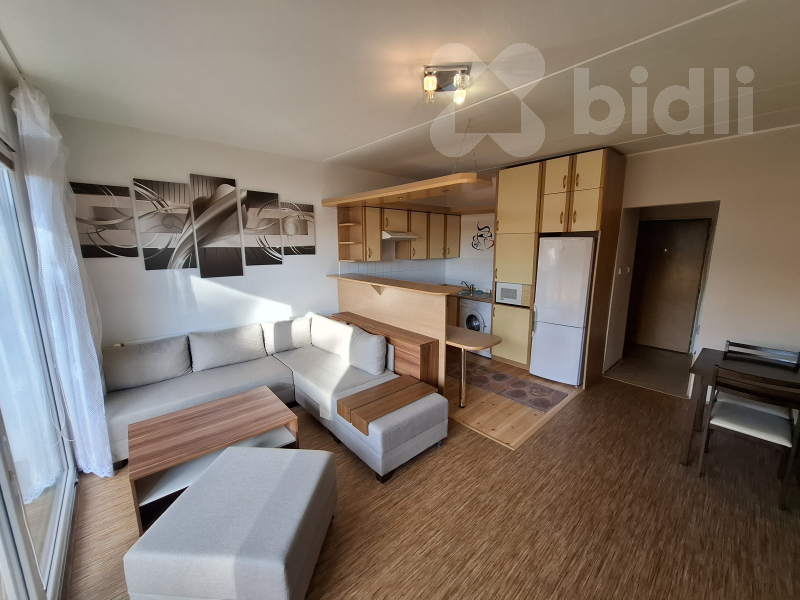 Pronájem bytu 1+kk a garsoniéry Plzeň 12 000 Kč za měsíc, foto 2