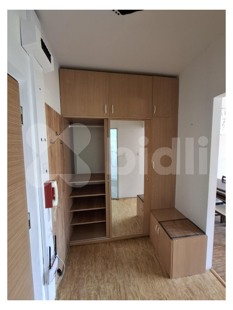 Pronájem bytu 1+kk a garsoniéry Plzeň 12 000 Kč za měsíc, foto 6