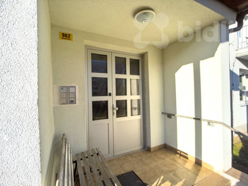 Vchodové dveře