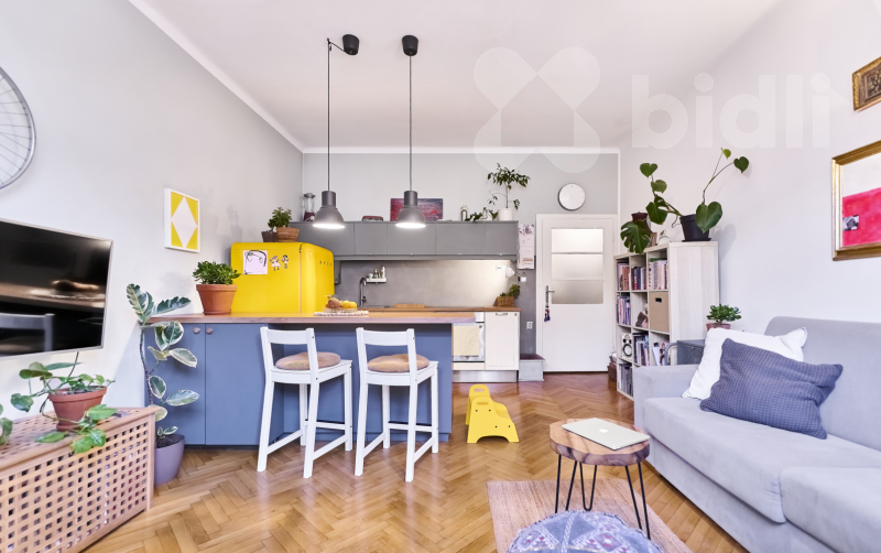 obývací pokoj s kuchyní