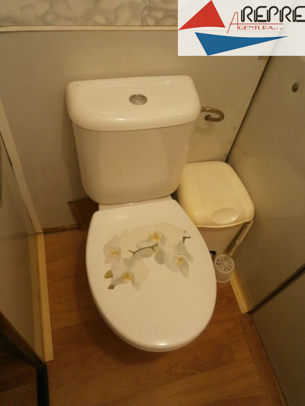 Litoměřice - pronájem bytu 1+1+ lodžie