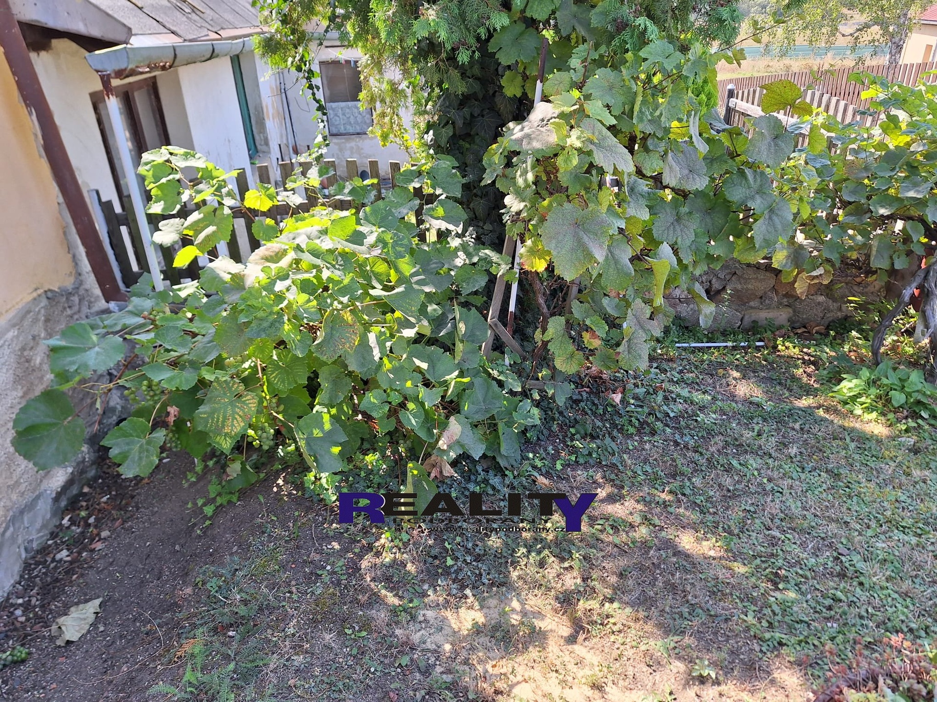 IMG-20240904-WA0045