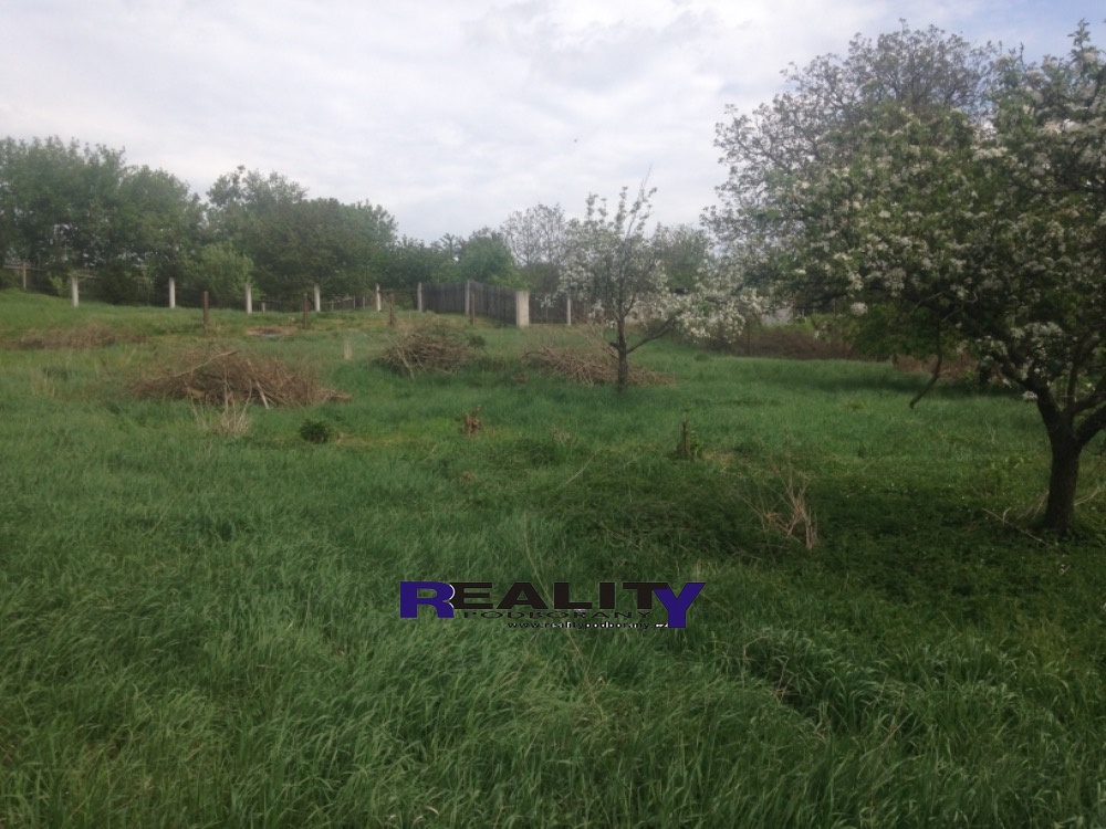 A3F461E0-BA6B-4114-8322-99362E74D5CC