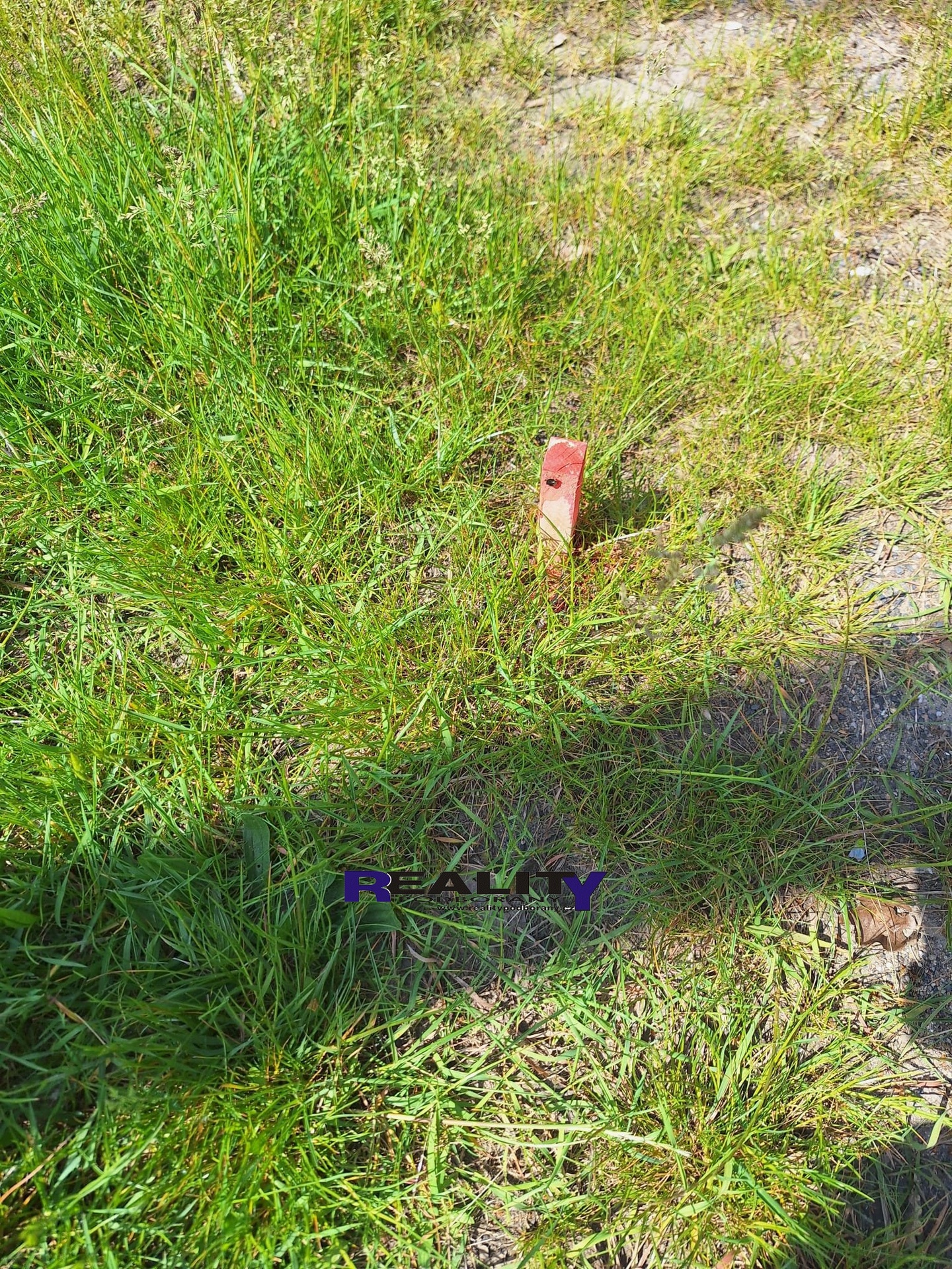 IMG-20260612-WA0035