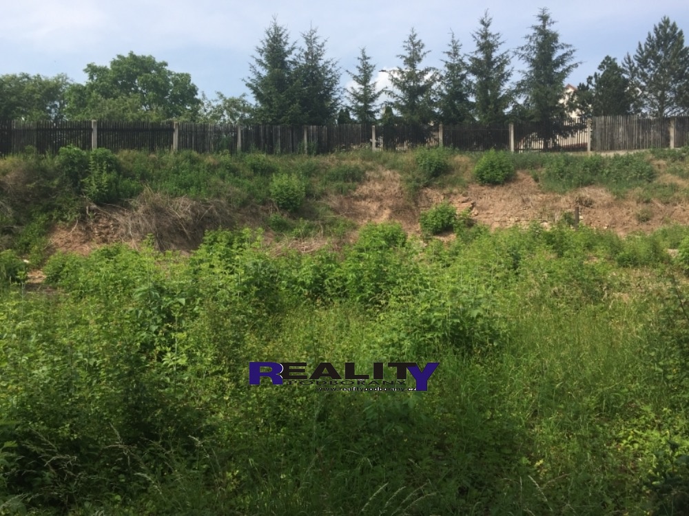 7C715F7F-0693-42F3-B743-58B3B2F7FC1E