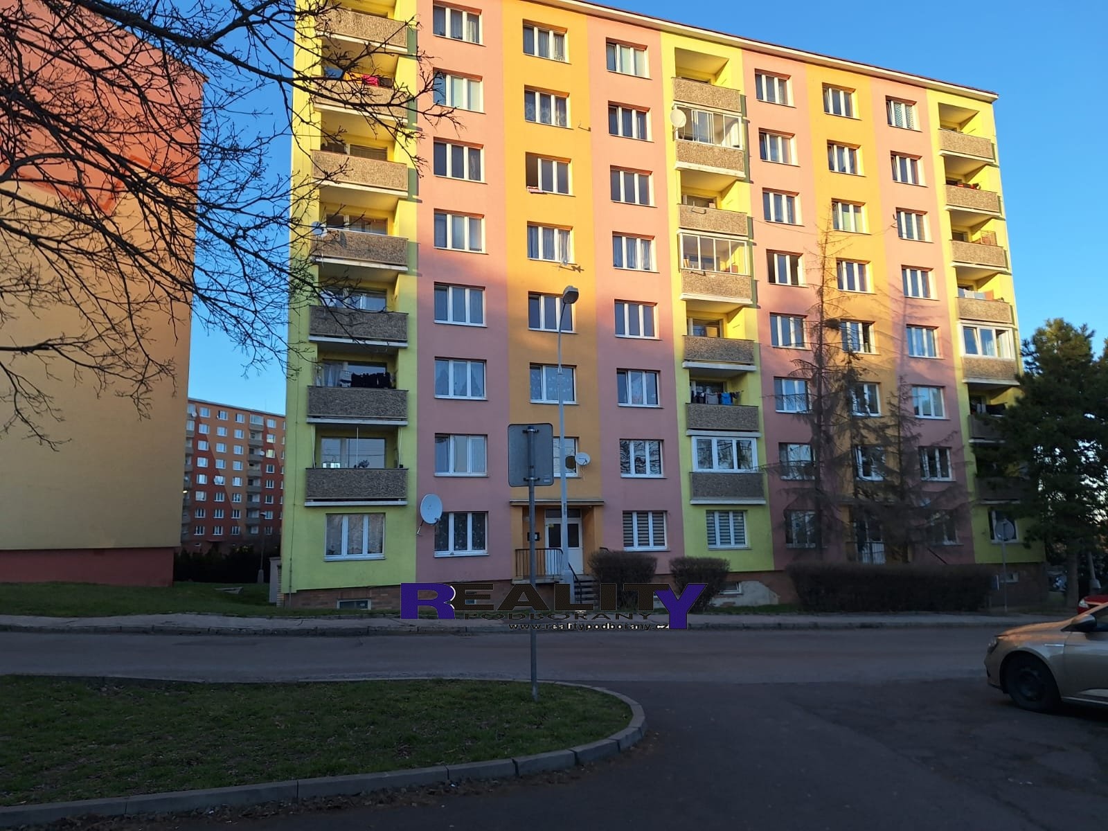 IMG-20250318-WA0006