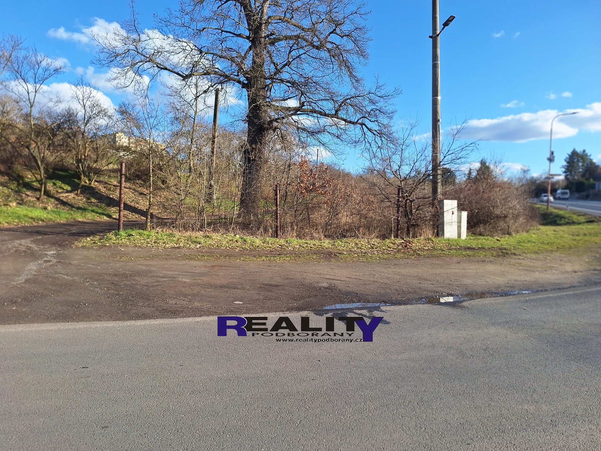 IMG-20260313-WA0001