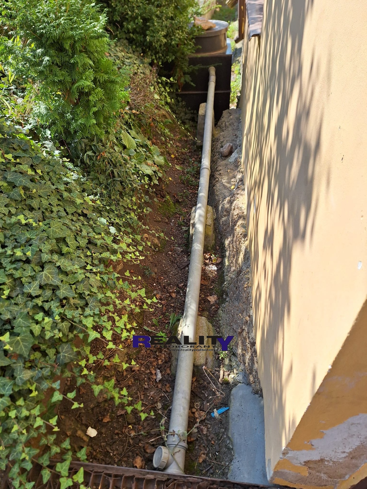 IMG-20240904-WA0069