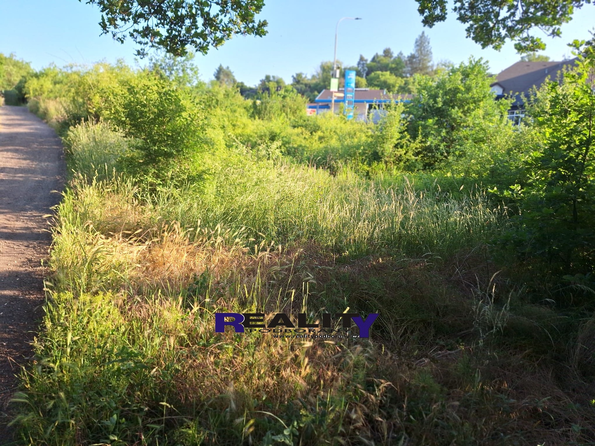 IMG-20250615-WA0033